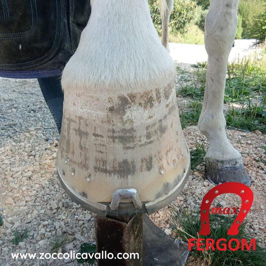 Ferro Gommato Terapeutico FERGOM MAX XP2000 (MISURE 0-6)